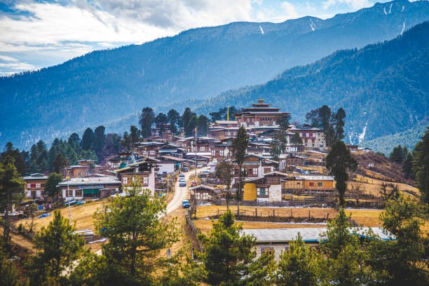 Traditional Bhutanese architecture in a picturesque village