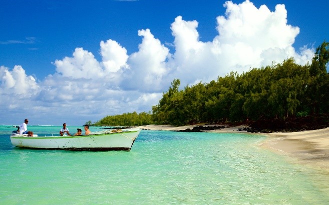 Diving into Coral Gardens