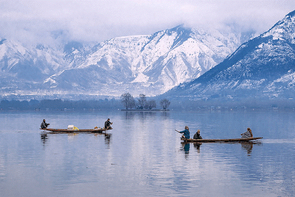 Traditional houseboats floating on Dal Lake